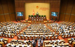 Quốc hội thảo luận về chính sách sửa đổi Luật Đất đai, Luật Nhà ở