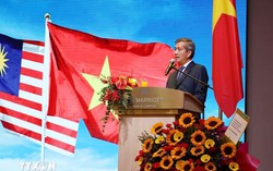 Overseas Vietnamese in Cambodia, Malaysia celebrate Vietnam’s National Day