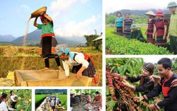 Hợp nhất 4 Chương trình mục tiêu quốc gia: Làm rõ mục tiêu, nguồn lực và cơ chế thực hiện