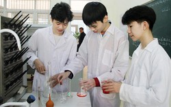 Cấm AI "làm hộ" học sinh trong cuộc thi nghiên cứu khoa học, kỹ thuật quốc gia
