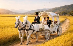 Giấc mơ trong phòng trọ