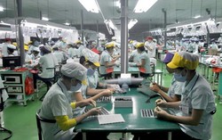 Lao động hết hạn hợp đồng không về nước có thể bị phạt tới 100 triệu đồng