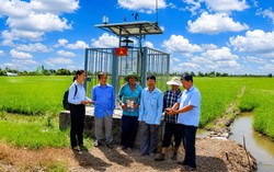Ứng dụng công nghệ từ đồng ruộng ra thị trường số, nông dân miền Tây gặt "quả ngọt"