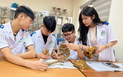 Hướng đi nào phù hợp với thí sinh chỉ được dưới 15 điểm 3 môn tổ hợp?