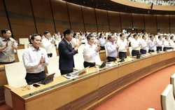 Luật Phát triển đô thị: TPHCM được tăng biên chế, đẩy mạnh TOD, mở cơ chế cho đô thị lấn biển