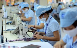Sửa Luật Đấu thầu: Cần đo hiệu quả thực tế chính sách ưu đãi lao động nữ