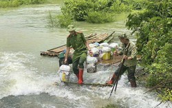 Công an Lạng Sơn giúp người trồng na bớt thiệt hại do mưa lũ