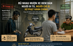 Cùng nhau phạm tội, người đi tù, người chỉ bị phạt hành chính