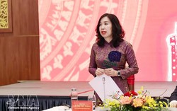 New resolution harnesses overseas Vietnamese resources: Deputy Foreign Minister