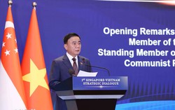 Việt Nam-Singapore hướng đến tương lai chung tự cường
