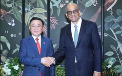 Singapore coi trọng quan hệ với Việt Nam, mong cùng khai thác hiệu quả các cơ hội