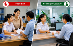 Tăng mức phạt khi vi phạm đối với lao động nữ và bảo đảm bình đẳng giới