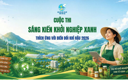 "Cầm tay chỉ việc" giúp phụ nữ miền núi hoàn thiện dự án khởi nghiệp từ tài nguyên bản địa