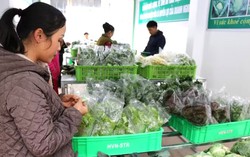 Giảm thuế 30% để tiếp thêm nguồn lực cho hộ kinh doanh và hỗ trợ tiêu dùng