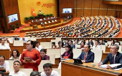 Nhìn lại Kỳ họp không thường lệ thứ Nhất: Những quyết sách từ thực tiễn cuộc sống