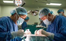 Cần có chính sách khuyến khích người đăng ký hiến tạng sau khi qua đời