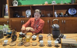 Kinh nghiệm vận hành và phát triển để hợp tác xã trở thành điểm tựa sinh kế cho phụ nữ