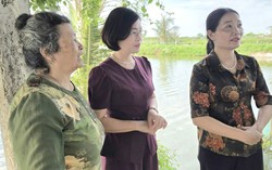 Đồng hành cùng phụ nữ phát triển kinh tế tập thể, từ ý tưởng khởi nghiệp đến việc làm bền vững