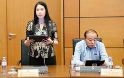 Đại biểu Trần Lan Phương: Đề nghị làm rõ cơ chế điều chỉnh tỷ lệ an toàn của ngân hàng