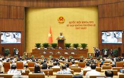 Thông cáo báo chí số 5, Kỳ họp không thường lệ thứ Nhất, Quốc hội khóa XVI