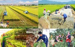 Hợp nhất 4 Chương trình mục tiêu quốc gia: Tăng phân cấp, khơi thông nguồn lực