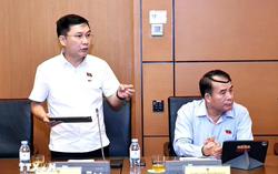 Cắt giảm thủ tục nhưng không cắt giảm trách nhiệm quản lý