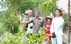 Đánh thức du lịch Lấp Vò từ đặc sản quê hương