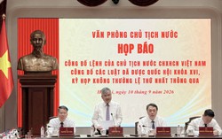 Hòa giải cơ sở: Người dễ bị tổn thương được quyền đề nghị hỗ trợ, bảo vệ