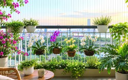 Mùa thu tròn đầy trong căn hộ một người