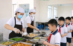 Tăng cường bảo đảm an toàn, chất lượng bữa ăn bán trú trong các cơ sở giáo dục