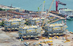 Điện gió ngoài khơi Việt Nam lần đầu xuất khẩu sang châu Âu