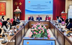 Thúc đẩy bình đẳng giới trong khu vực công gắn với tinh gọn bộ máy
