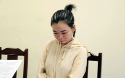 Lừa góp tiền “lướt” đất, chiếm đoạt 19,7 tỷ đồng