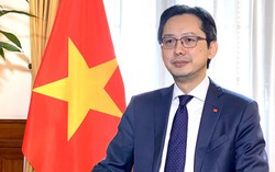 Đại sứ Đỗ Hùng Việt: Việt Nam đóng góp ngày càng thực chất vào hợp tác đa phương