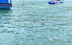 Khánh Hòa: Rác "dập dềnh" trên vịnh, gầm cầu thành điểm bán hàng cho du khách