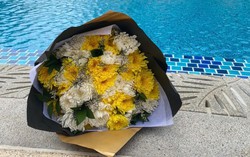 Khởi tố 1 bị can trong vụ án bé trai người Nhật bị hút vào thành bể bơi tại khu du lịch Mũi Né
