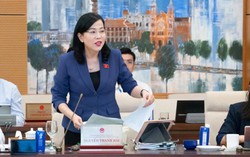 Đề xuất Nhà nước bù đắp chi phí nếu giá điện chưa được điều chỉnh kịp thời