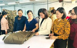 100 triệu đồng vốn vay khởi đầu những sinh kế mới của phụ nữ nông thôn