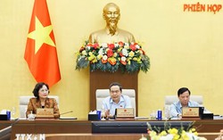 Rà soát chính sách ưu đãi thuế đối với cơ sở giáo dục và suất ăn học đường