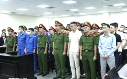 Hà Nội: Xét xử 29 bị cáo trong dây chuyền sản xuất 426 lô sản phẩm sữa giả