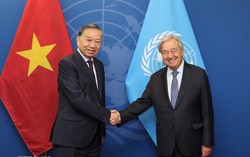 Tổng Bí thư, Chủ tịch nước Tô Lâm gặp Tổng Thư ký Liên hợp quốc António Guterres