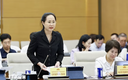 Xác định địa vị pháp lý chính thức cho ngành công nghiệp văn hóa