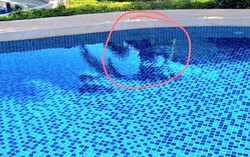 Vụ bé trai người Nhật bị hút vào thành hồ bơi: Gia đình đề nghị xem xét trách nhiệm hình sự của các tổ chức, cá nhân khác