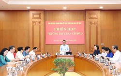 Thường trực Ban Bí thư Trần Cẩm Tú chủ trì Phiên họp Thường trực Ban Chỉ đạo Trung ương về phát triển văn hóa