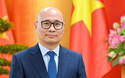 Ông Lương Hoàng Thái giữ chức Thứ trưởng Bộ Công Thương