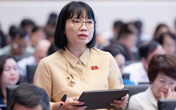"Giá điện hợp lý không đồng nghĩa với giá thấp bằng mọi cách"