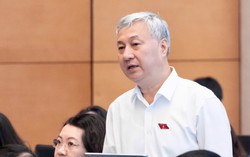 Đại biểu Quốc hội: "Doanh nghiệp nhỏ chưa kịp có lãi đã hết ưu đãi thuế"