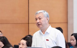 Đại biểu Quốc hội: "Doanh nghiệp nhỏ chưa kịp có lãi đã hết ưu đãi thuế"