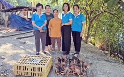 Tuyên Quang: Trao tặng con giống hỗ trợ hội viên phát triển kinh tế gia đình