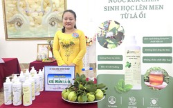 Biến lá ổi thành nước rửa chén và thực phẩm